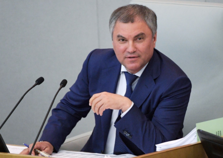 Госдума поручила спецслужбам продолжить проверку гражданств депутатов