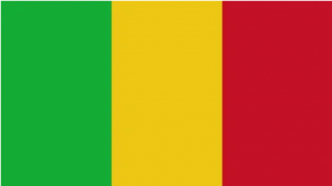 Взбунтовавшиеся военные арестовали премьера Мали и президента страны