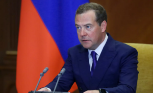Медведев поддержал возможность участия россиян в бюджетной политике