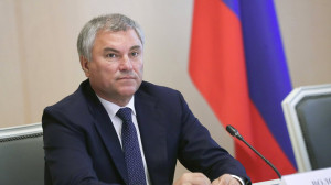 Вячеслав Володин призвал дать оценку действиям власти стран, нарушающих права человека