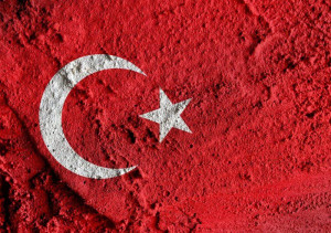 В США ждут комментариев от Турции о намерениях выслать послов ряда стран