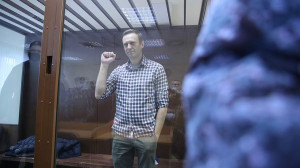 Постпред при ОЗХО рассказал о сокрытии информации по делу Навального странами ЕС
