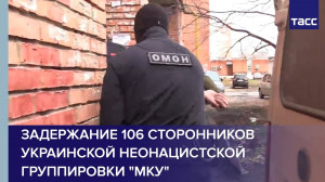 В 37 регионах РФ задержаны 106 сторонников украинской неонацистской группировки "МКУ"