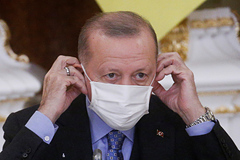 Эрдоган осудил признание ДНР и ЛНР