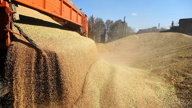 Минпромторг подготовил проект о запрете экспорта зерновых