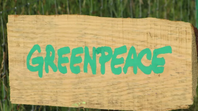 РЭО попросило проверить Greenpeace и WWF на соблюдение закона об иноагентах