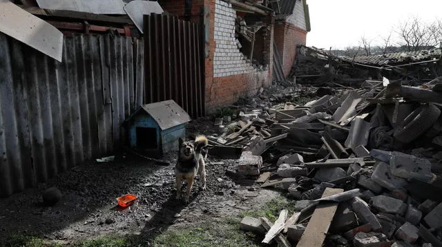 Украина обстреляла приграничное село Головчино в Белгородской области