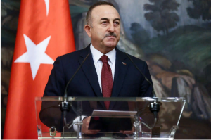 В Турции допустили введение санкций против России
