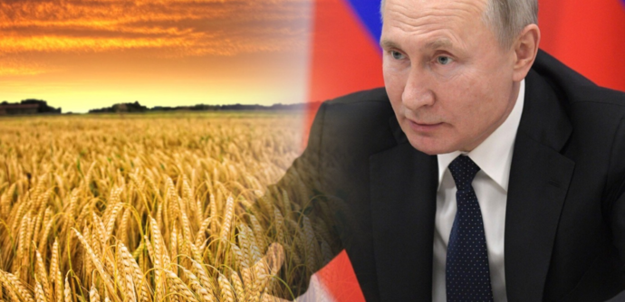 Путин заявил, что Россия занимает первое место в мире по экспорту пшеницы