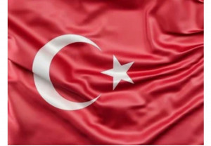 Турция потребовала от Швеции и Финляндии выдать десятки курдских политиков