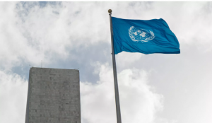 Спецдокладчик ООН Довгань заявила, что санкции Запада бьют по самым уязвимым группам людей